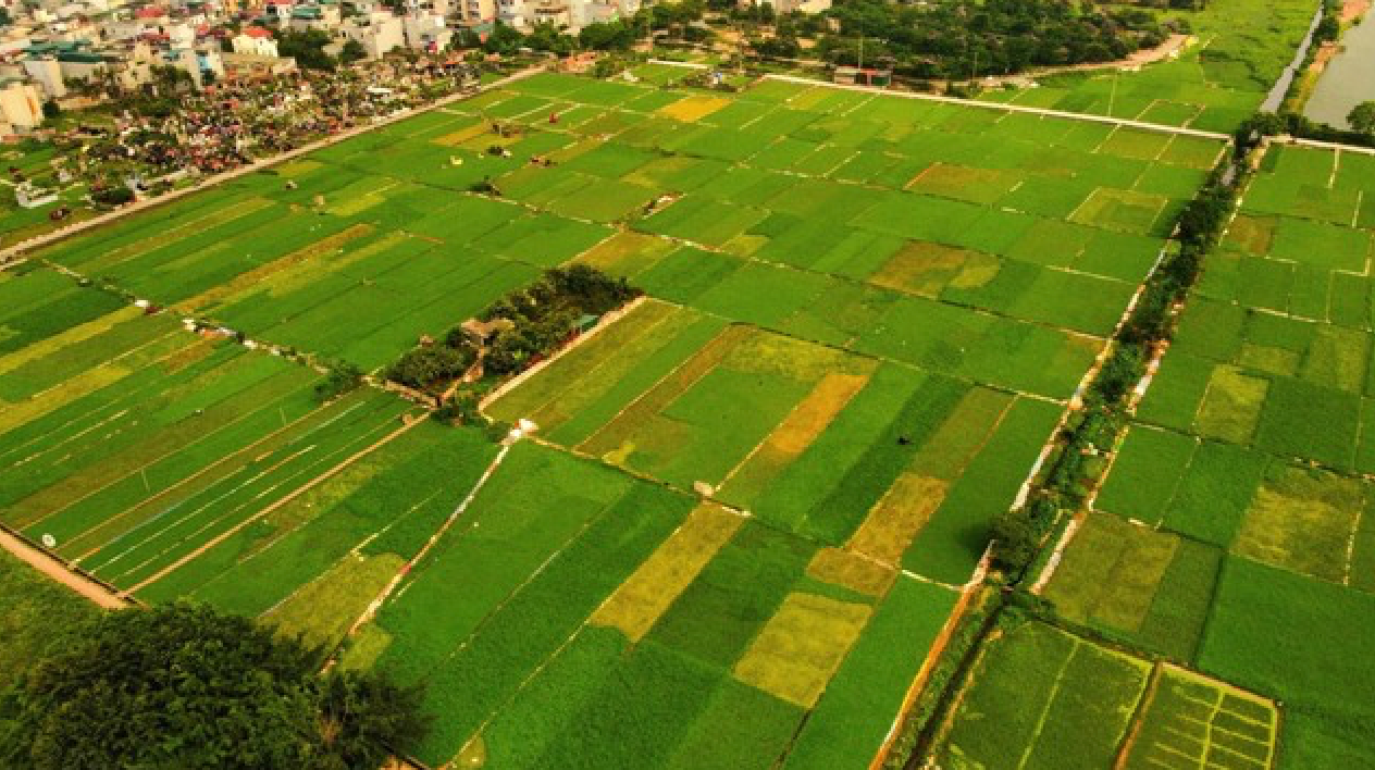 Người dân sẽ được nhận tối đa 500.000.000 đồng khi Nhà nước thu hồi đất: Loại đất gì, áp dụng từ bao giờ, đó là địa phương nào?- Ảnh 1. Người dân sẽ được nhận tối đa 500.000.000 đồng khi Nhà nước thu hồi đất: Loại đất gì, áp dụng từ bao giờ, đó là địa phương nào?- Ảnh 1.