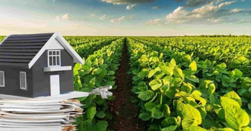 Từ nay, người dân được giảm tiền sử dụng đất khi chuyển đất nông nghiệp sang đất ở