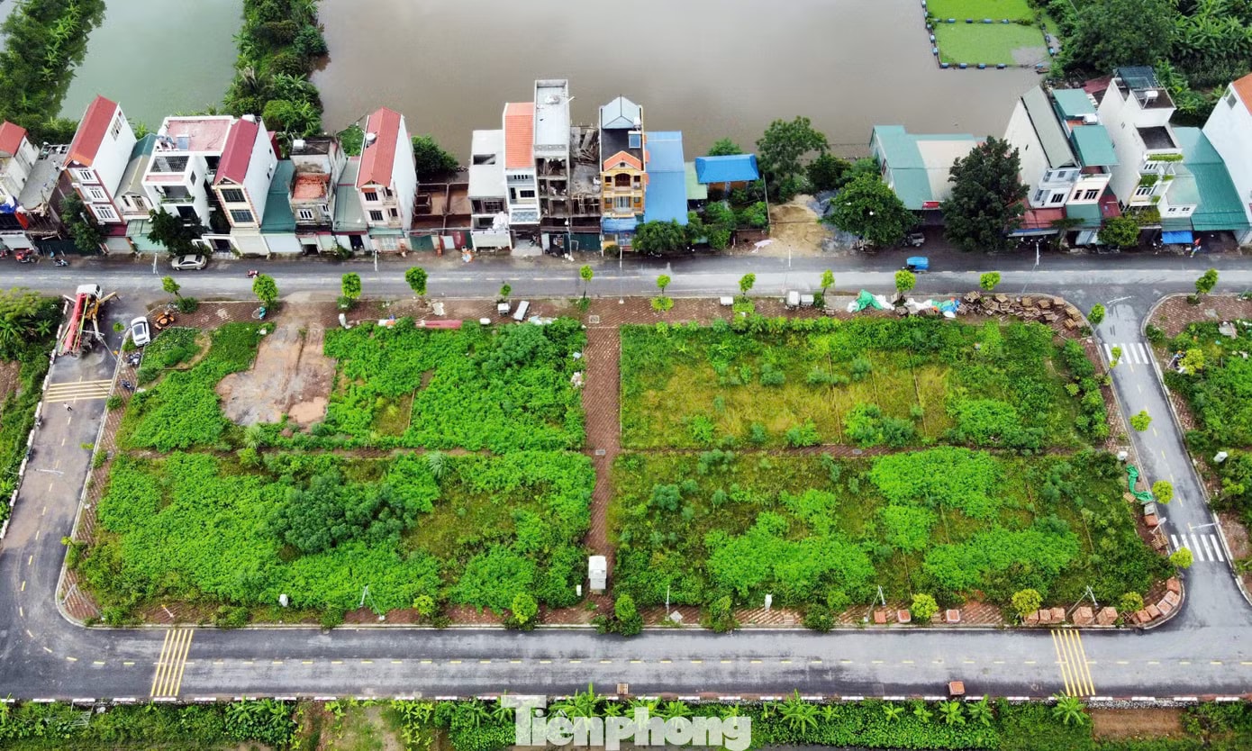 Sau gần 2 năm Đất đấu giá vùng ven Hà Nội từng gây 'sốt' trở thành nơi bỏ hoang, không bóng người! - Ảnh 1.