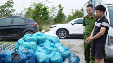 Kiểm tra đột xuất cơ sở sản xuất giá đỗ rộng 1.000m2, thu giữ gần 4 tấn hàng 'ngậm' hóa chất cấm