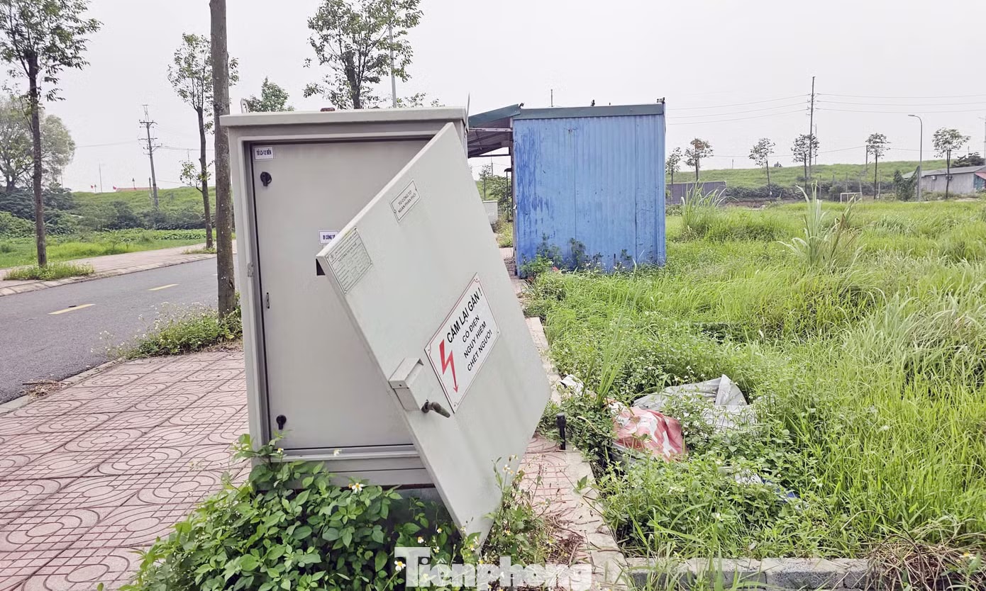 Đất đấu giá vùng ven Hà Nội từng gây 'sốt' trở thành nơi bỏ hoang, không bóng người! - Ảnh 5.