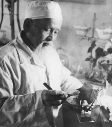 'Cha đẻ' của Cao Sao Vàng nức tiếng một thời: Là lương y, doanh nhân, nhà báo nổi tiếng, tên được đặt cho đường phố