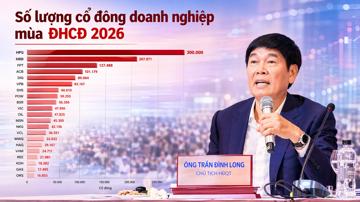 Thấy gì từ bức tranh cổ đông doanh nghiệp mùa ĐHCĐ 2026?