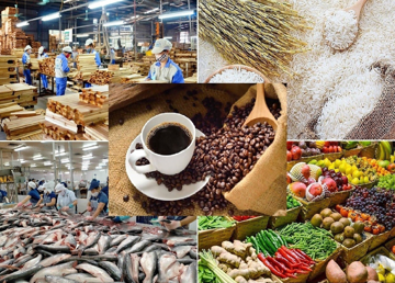 Từ nay, Việt Nam chính thức có nền tảng chợ đầu mối nông sản trực tuyến tại Singapore