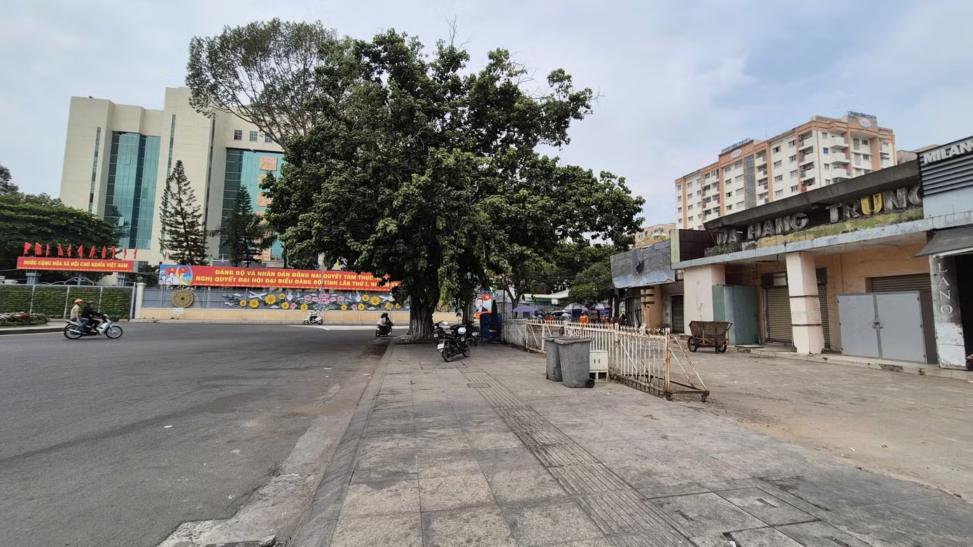 Cận cảnh nhiều trụ sở bỏ hoang, cỏ mọc um tùm... ở Đồng Nai - Ảnh 22.