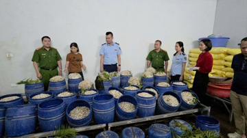 Một tỉnh của Việt Nam ‘siết’ thực phẩm bẩn, Chủ tịch xã, phường đặc khu phải chịu trách nhiệm