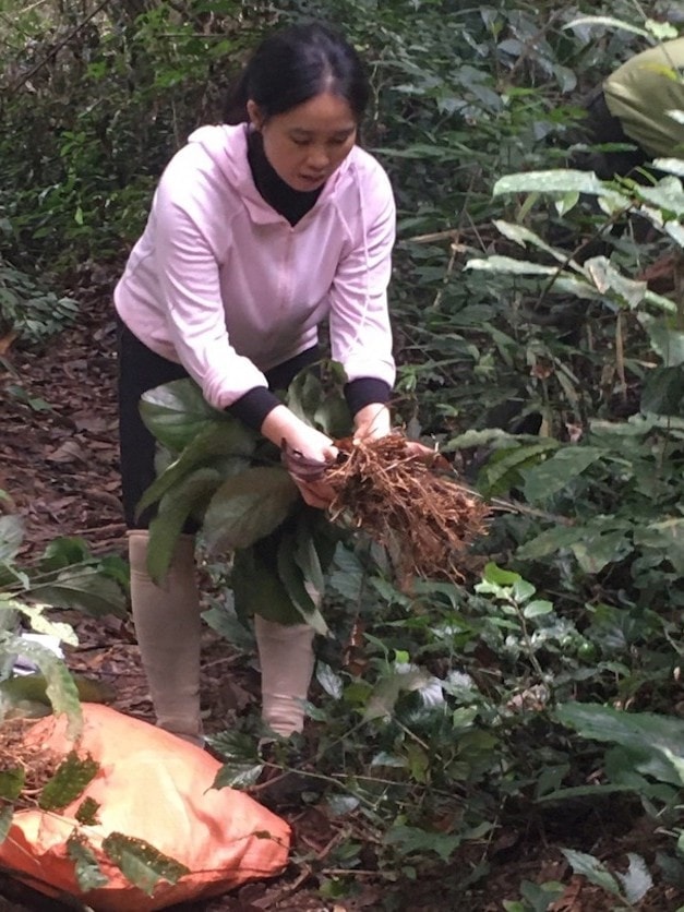pgs-le-thu-huong-2.jpg