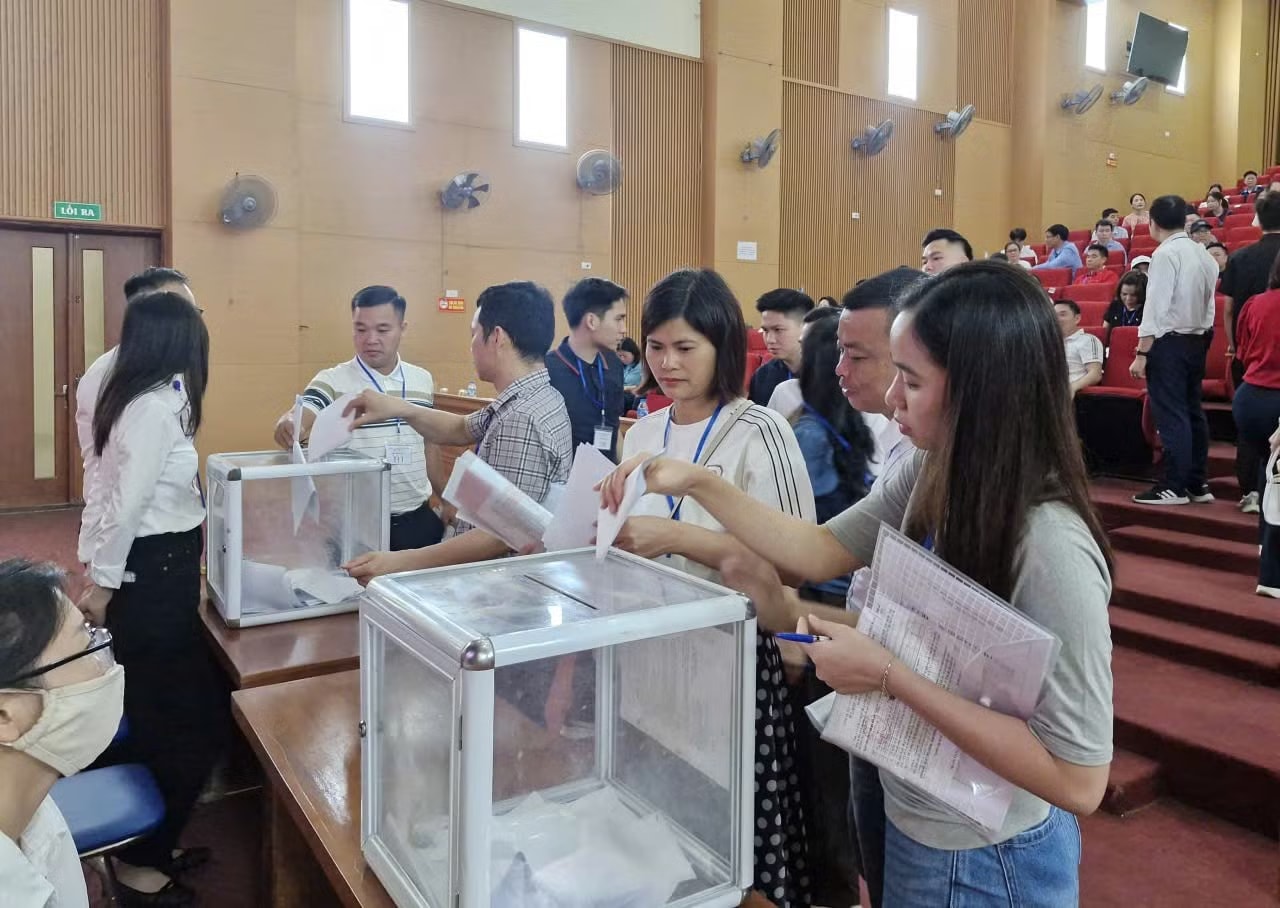 Hà Nội: 17 lô đất ở xã Quốc Oai được đấu giá thành công từ 84 - 125 triệu đồng/m2 - Ảnh 1.