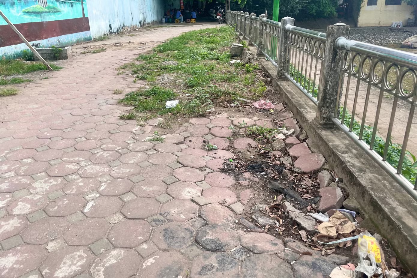 Hồ Hạ Đình ở Hà Nội bị 'bức tử' - Ảnh 14.