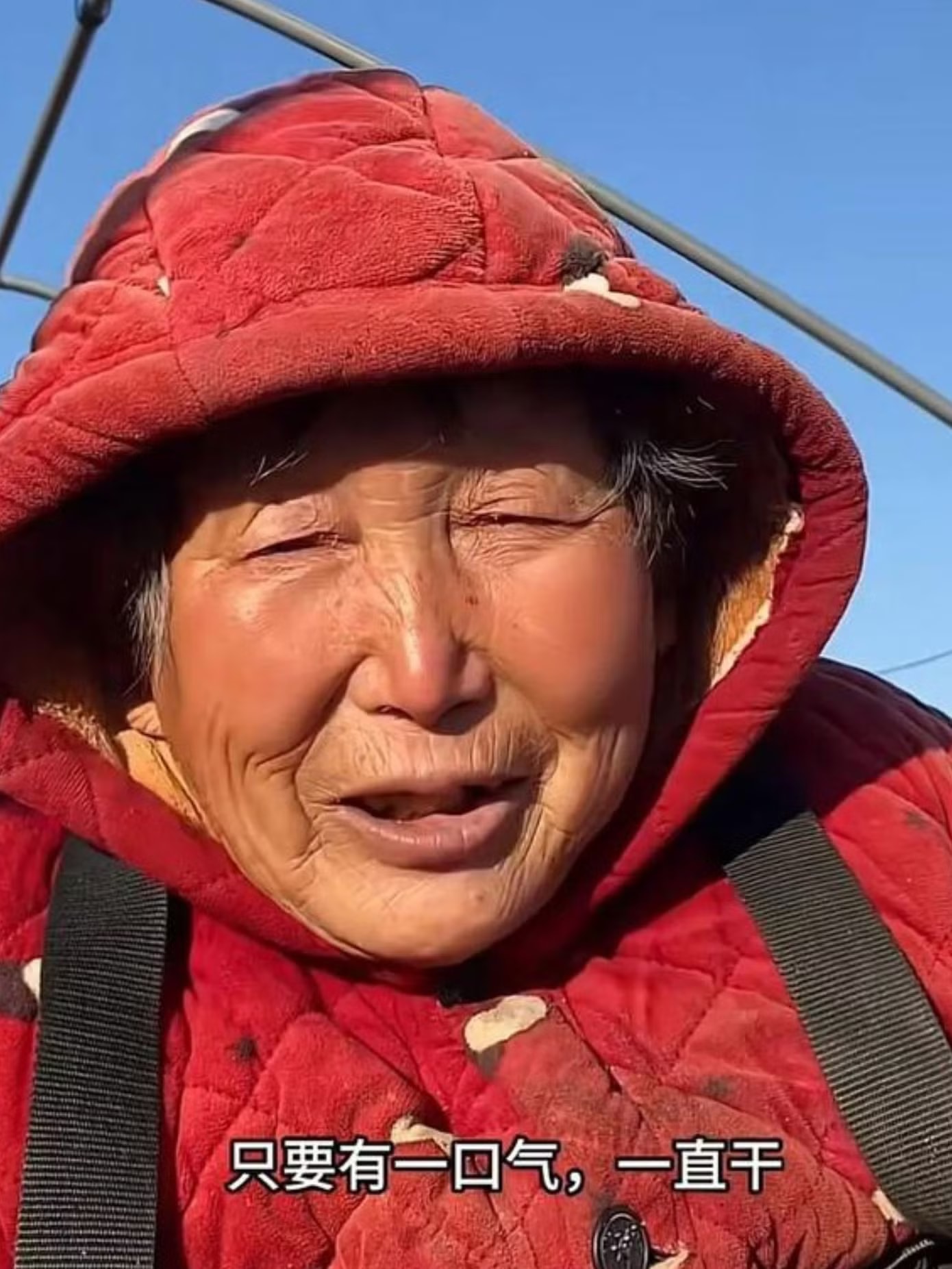 cu-ba-khoi-nghiep-tu-khoai-lang-1.jpg