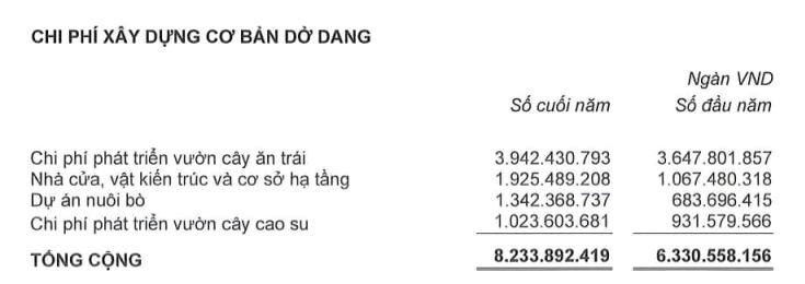 5 năm nhìn lại câu nói 'Chúng tôi đã bỏ vào HAGL Agrico 40.000 tỷ đồng' của Chủ tịch Trần Bá Dương - Ảnh 2.
