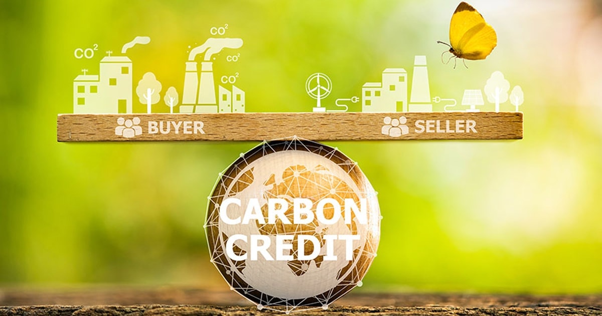 tin-chi-carbon-net-zero-truong-xanh-thi-truong.jpg