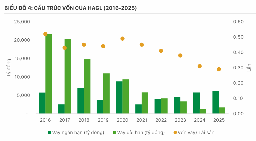 Dự phóng lợi nhuận 2026 gần 4.400 tỷ, P/E chỉ 5,1 lần: HAGL được nhìn lại câu chuyện định giá - Ảnh 1.