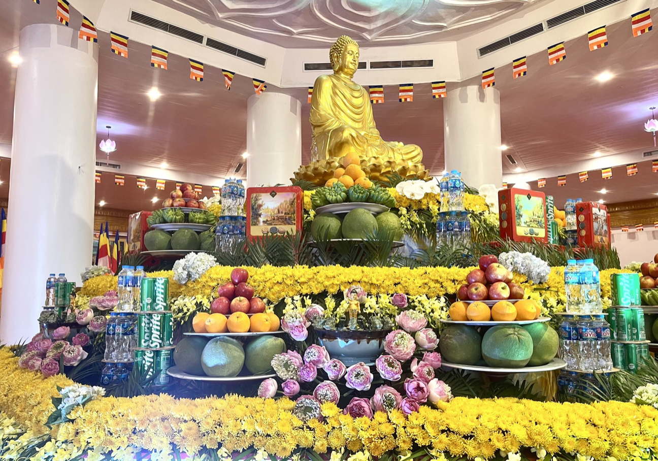 Chưa từng có trong lịch sử: Huy động hàng nghìn tấm đồng đưa lên độ cao hơn 3.100m, Việt Nam hoàn thành công trình lập kỷ lục châu Á- Ảnh 2.