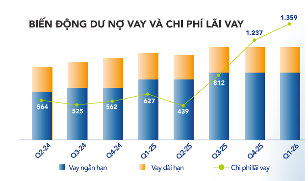 Vay 1,8 tỷ USD xây nhà máy thép Dung Quất 2, tỷ phú Trần Đình Long bước vào chu kỳ trả nợ - Ảnh 2.