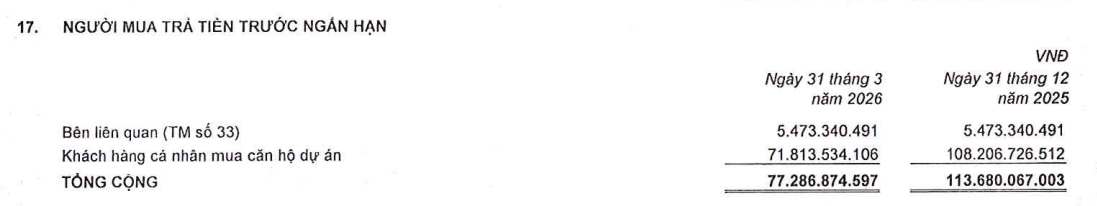 Biên gộp 55%, lãi chỉ 5 tỷ đồng: Điều gì đang xảy ra ở An Gia (<a style='text-decoration: none;' href='/AGG'>AGG</a>)? - Ảnh 6.