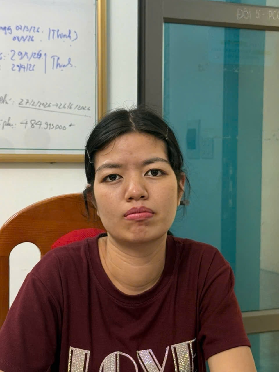 Khởi tố Chu Thị Hòa tuồn 510 tấn giá đỗ 'ngậm' chất cấm ra thị trường - Ảnh 1.