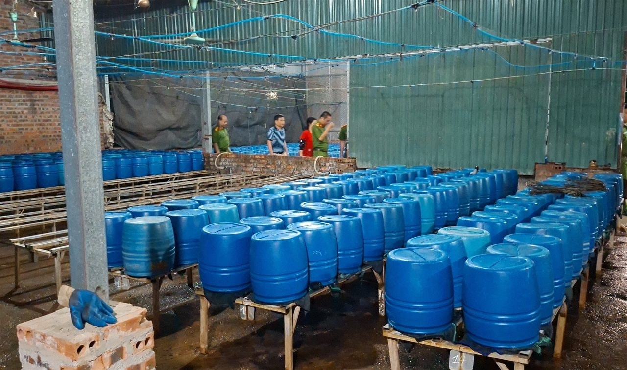 Khởi tố Chu Thị Hòa tuồn 510 tấn giá đỗ 'ngậm' chất cấm ra thị trường - Ảnh 2.