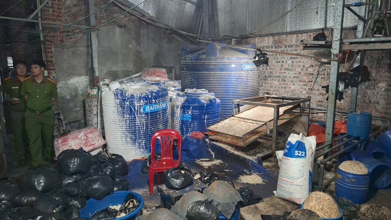 Khởi tố Chu Thị Hòa tuồn 510 tấn giá đỗ 'ngậm' chất cấm ra thị trường - Ảnh 6.