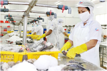 Ngậm đắng vì vay vàng, một công ty làm nai lưng 17 năm vẫn 'bất lực' trước 5.833 lượng SJC nợ tại Sacombank