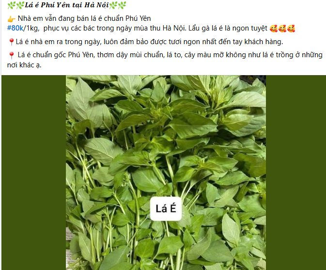 la-e.png
