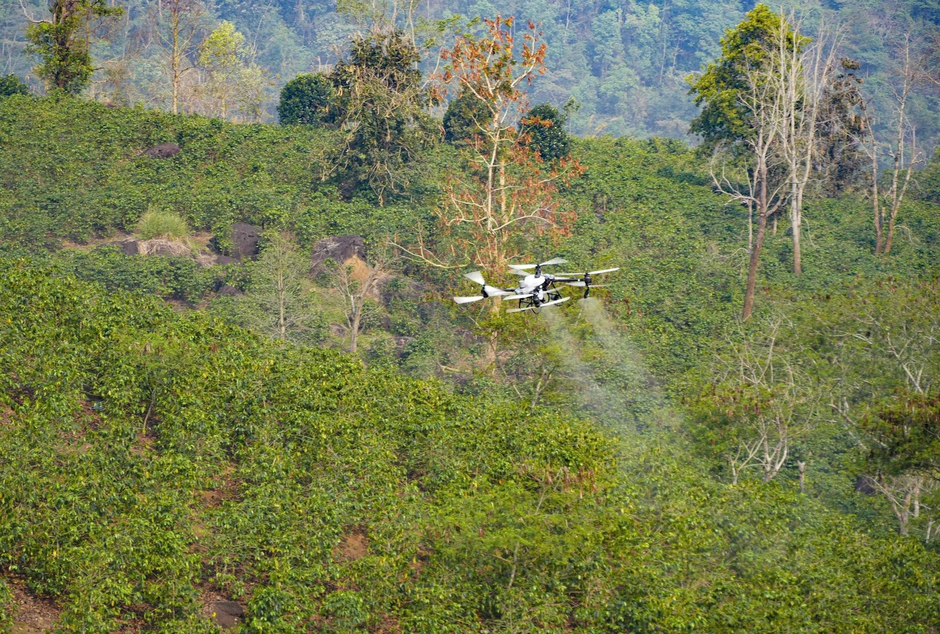 UAV do <a style='text-decoration: none;' href='/FPT'>FPT</a> và Trường Thịnh Drone đang thử nghiệm phun thuốc tại hồ Ảng Cang, bản Mánh Đanh, xã Mường Ảnh, tỉnh Điện Biên