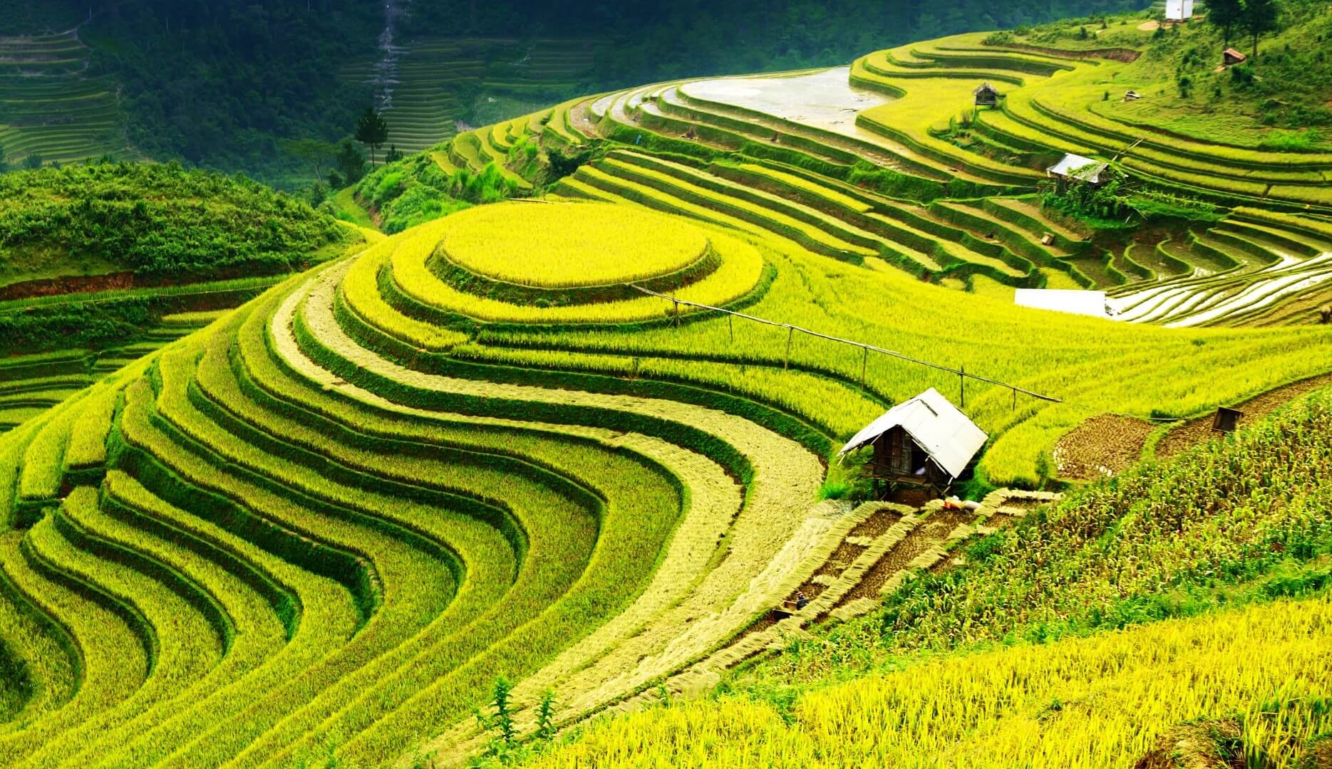 Vùng Trung du và miền núi phía Bắc được định vị là đầu mối kết nối giữa Đông Nam Á với Trung Quốc, Trung Á và châu Âu. Ảnh minh họa Vùng Trung du và miền núi phía Bắc được định vị là đầu mối kết nối giữa Đông Nam Á với Trung Quốc, Trung Á và châu Âu. Ảnh minh họa