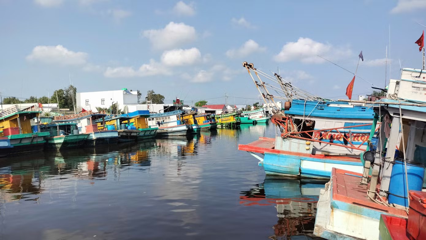 Toàn tỉnh Cà Mau có 274 tàu cắt giảm chuyến biển và 84 tàu tạm ngưng hoạt động do ảnh hưởng giá dầu tăng cao. Phân bổ xăng dầu theo thứ tự ưu tiên trong tình huống khẩn cấp - Ảnh 1.