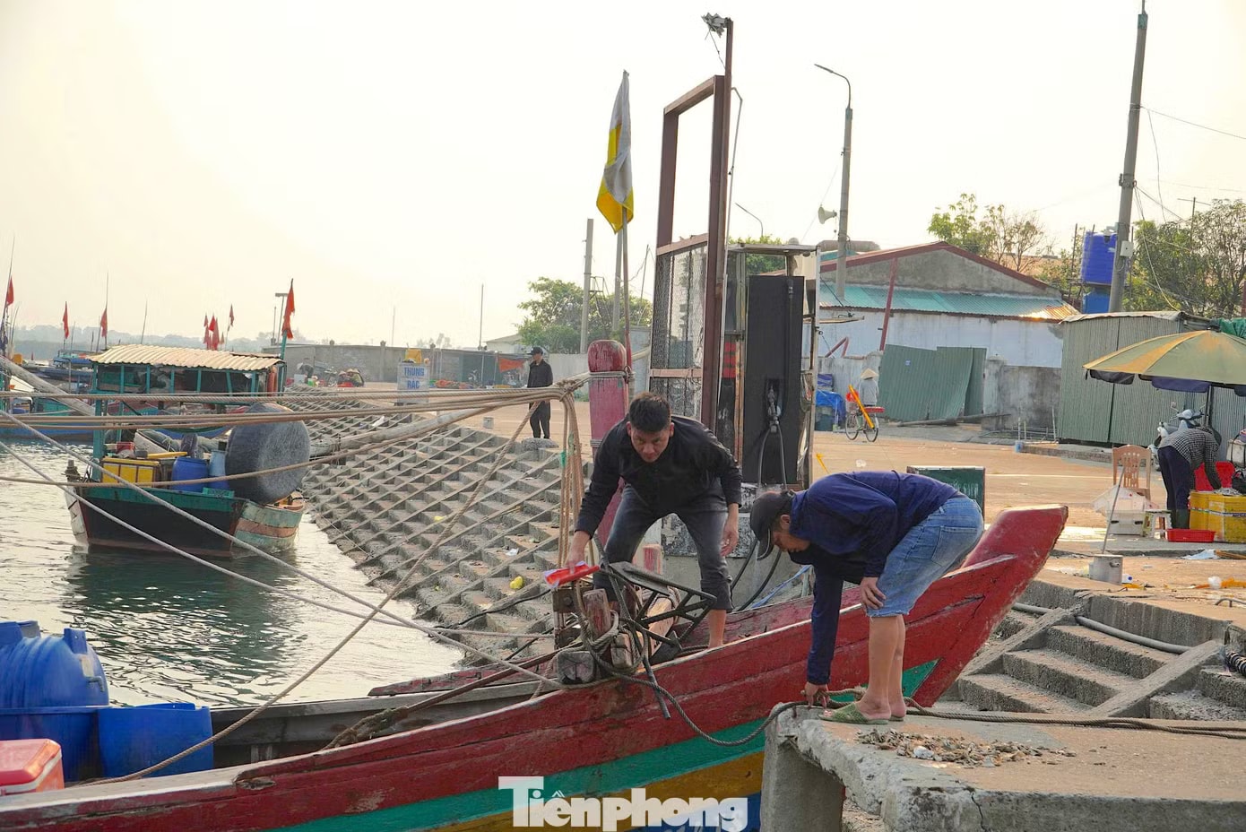 Chuyến biển thu 3 tạ cá, vì sao tiền công chỉ 200.000 đồng/người? - Ảnh 3.