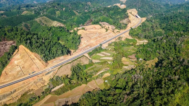 cao-toc-dong-dang-tra-linh.jpg
