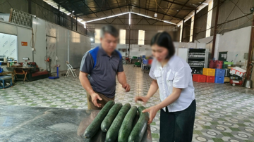 Xử phạt hành chính cơ sở cung cấp thịt lợn nhiễm virus dịch tả châu Phi cho trường mầm non ở Thái Nguyên
