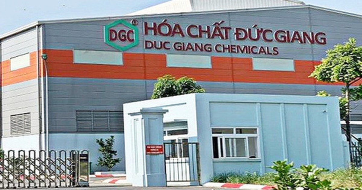 dgc.jpeg