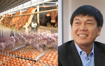 Công ty của tỷ phú Trần Đình Long lãi lớn từ chăn nuôi heo, 'bán 3 lãi 1' và công thức ưu việt
