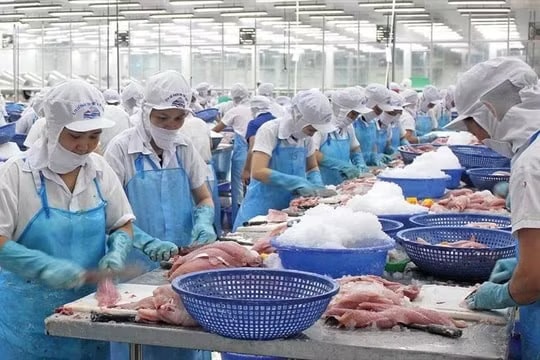 Các doanh nghiệp xuất khẩu được khuyến cáo rà soát phần hình ảnh bao bì, thiết kế sản phẩm, phần mềm sử dụng... Khuyến cáo với doanh nghiệp xuất khẩu sang Mỹ - Ảnh 1.