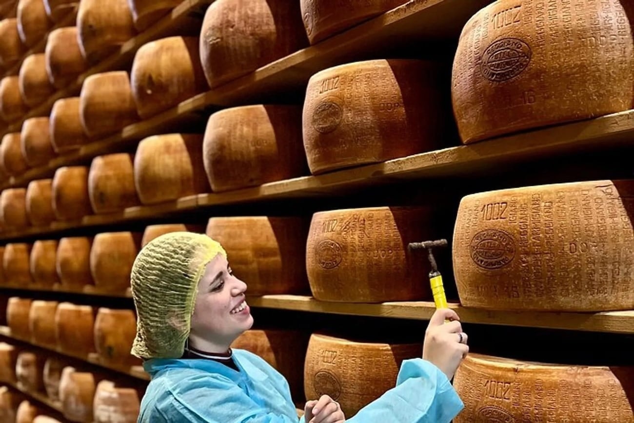pho mai Parmigiano Reggiano 3