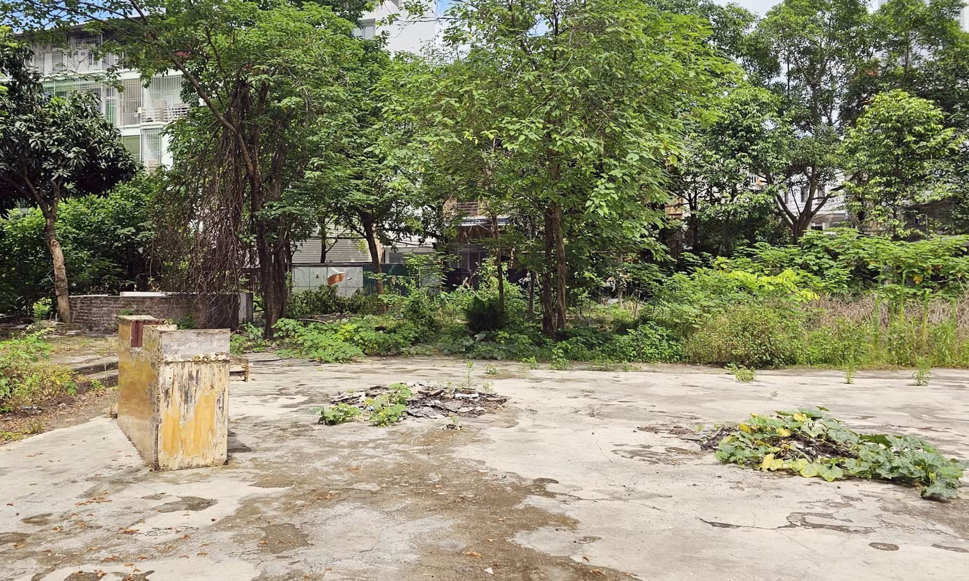 Chuyển đổi khu đất nông nghiệp gần tổ hợp HH Linh Đàm để xây chung cư, nhà liền kề - Ảnh 5.