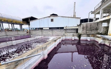 Một công ty giặt là lớn bị phạt hơn 1,5 tỷ đồng, buộc tháo dỡ toàn bộ hệ thống đường dẫn nước
