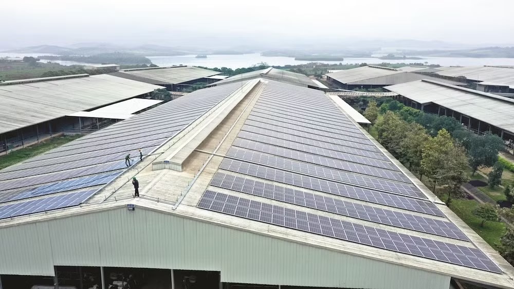 Việt Nam đang đặt mục tiêu mỗi năm tăng khoảng 10% số hộ, doanh nghiệp lắp điện mặt trời mái nhà. Làn sóng lắp điện mặt trời mái nhà tăng mạnh - Ảnh 2.