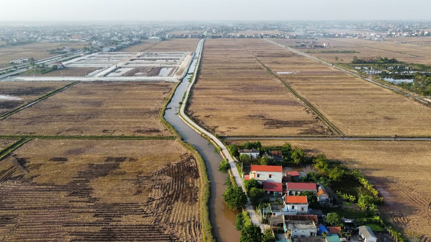 Bỏ cọc hàng loạt sau 'sốt' đấu giá đất vùng quê - Ảnh 1.