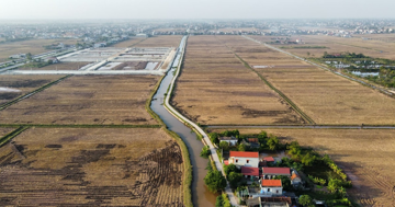 Bỏ cọc hàng loạt sau 'sốt' đấu giá đất vùng quê