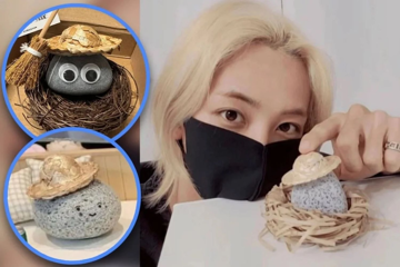 Tổng thống thứ 40 của nước Mỹ được cho là từng tham gia trào lưu này: Nuôi thú cưng không đòi ăn cũng chẳng ốm đau đang khiến giới trẻ 'phát sốt'