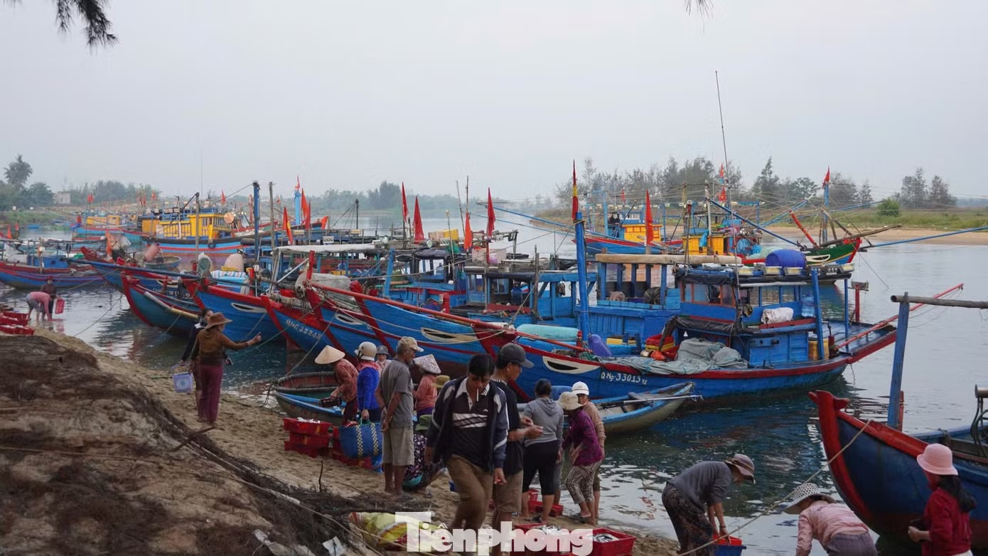 'Đột nhập' chợ mực Cửa Lở lúc rạng sáng - Ảnh 1.