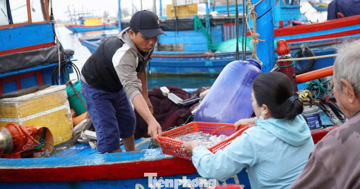 'Đột nhập' chợ mực Cửa Lở lúc rạng sáng