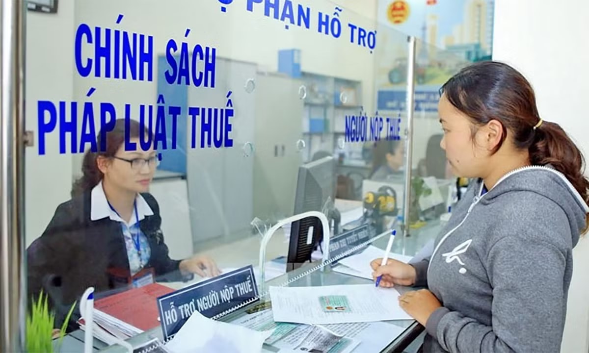 Cục Thuế rà soát các doanh nghiệp 'mất tích' - Ảnh 1.
