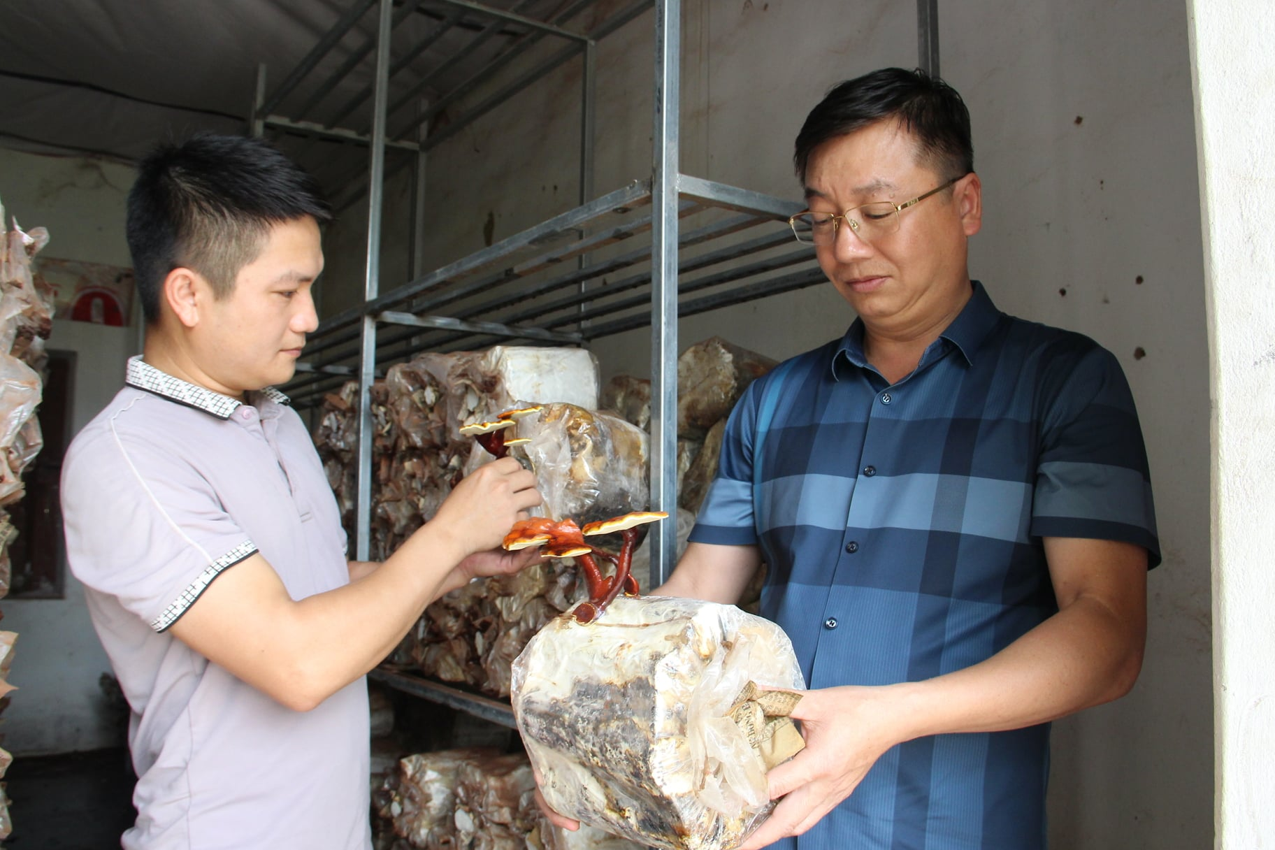 nong-dan-lang-son-1.png