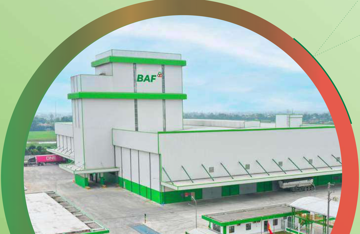 BAF vay 50 triệu USD từ định chế tài chính Hà Lan, thế chấp loạt công ty chăn nuôi chiến lược