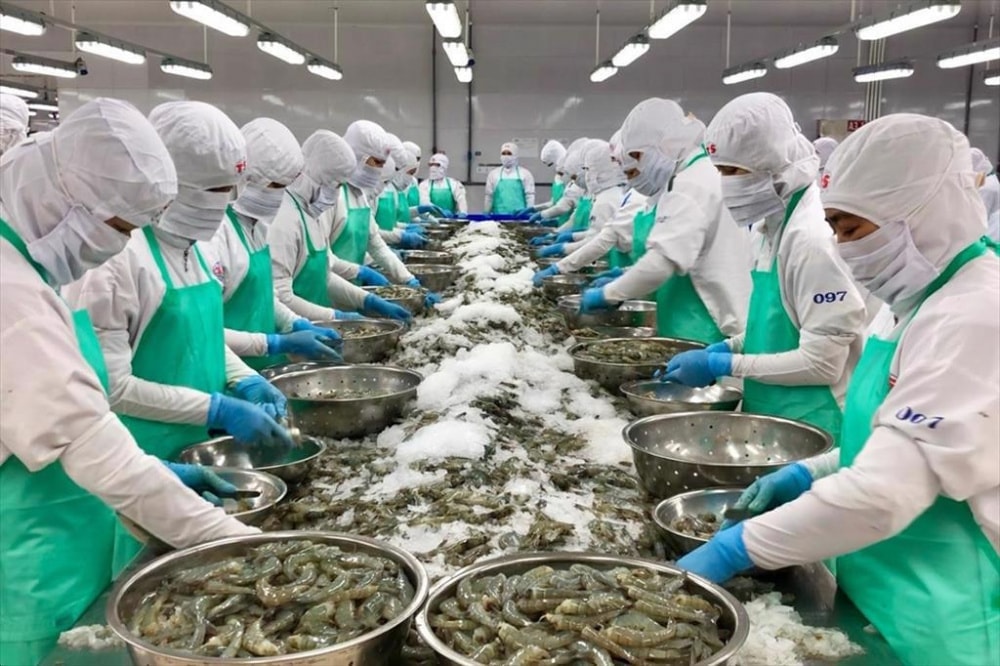xuat-khau-thuy-san-viet-nam-sang-hoa-ky-tang-80-sau-10-nam64feab92bd523-1737474799130793832840.jpg