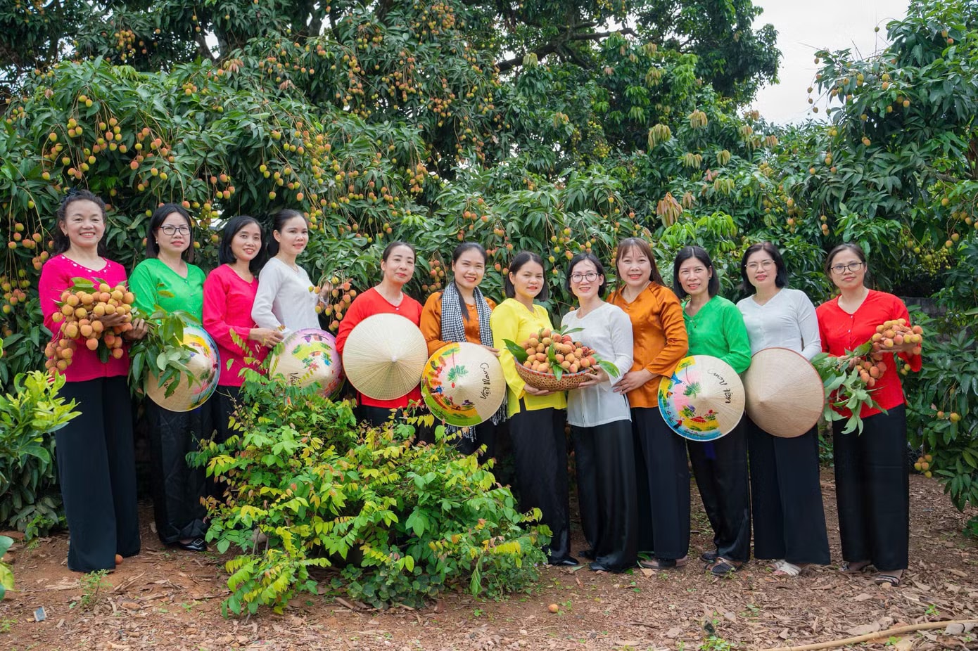 Điều đặc biệt về cây vải thiều 'báu vật' ở Bắc Ninh - Ảnh 3.
