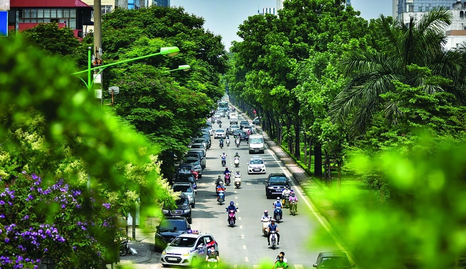 Phát triển thị trường tín chỉ carbon đòi hỏi sự cân bằng giữa mục tiêu môi trường và sức chịu đựng của nền kinh tế