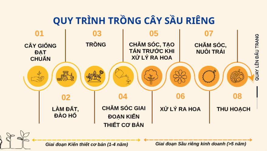 Giá sầu riêng rớt thảm, vựa sầu hơn 2.000ha của bầu Đức gây chú ý - Ảnh 2.